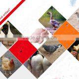 2016 Commercial Chicken Hair Removal Machine/poultry Feather Plucker Machine With One Year Guarantee thumbnail-5