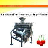Multifunction Fruit Destoner And Pulper Machine