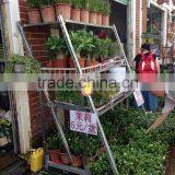 EL-141garden Center Greenhouse Plant Display Racks thumbnail-3