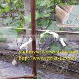 Garden Paper Twist Ties for Vineyard Tying thumbnail-1