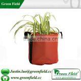Green Field Colorful Canvas Flower Pot,Colorful Canvas Flower Growing Pot thumbnail-1