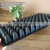 Hydroponics Plastic Nursery Seedling Pots, Nursery Seedling Tray for Seed Germination System thumbnail-3