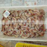 Frozen Pink HLSO thumbnail-1