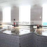 IN SHELL SHORT NECKED CLAM HAVE BRC thumbnail-2