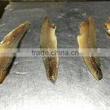 Sea Frozen Whole Anchovy thumbnail-1