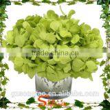 Colorful Silk Artificial Hydrangea Flower Ball With Grass Pot Wholesale thumbnail-1