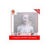 48 cm PVC Acupuncture Model Female Acupuncture Model for Full Body Male for Acupuncture Point Study thumbnail-1