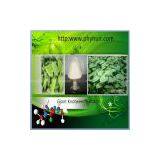 Resveratrol/Polygonum Cuspidatum P.E. thumbnail-1