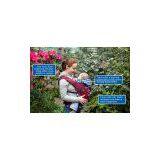 Baby Carriers 2 in 1 BB007 thumbnail-2