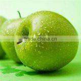 China HACCP Food Safety Consultancy thumbnail-1