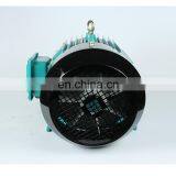 IE3 Standard High Efficiency Three Phase Asynchronous AC Induction Motor for Agitator thumbnail-4