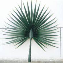 Artificial Palm Leaves thumbnail-1
