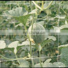 Trellis Net 48
