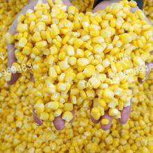Automatic Fresh Sweet Corn Threshing Machine Corn Kernel Separating Machine thumbnail-5