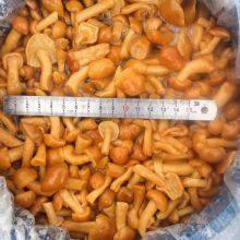 Nameko in Brine FAQ, Birned Mushrooms, Edible Fungi,cleaning thumbnail-2