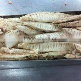 Good Quality Bonito Loin(auxis Thazard) thumbnail-1