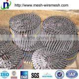 China Factory Common Nails/square Boat Nails/roofing Nails thumbnail-2