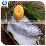 frozen seafood bonito tuna fish exporters