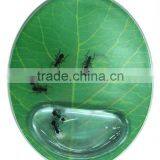 Aqua Mouse Pad With Arm Support/wrist as Gift Item