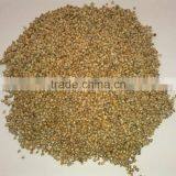 Bajra Millet thumbnail-2