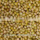 Hulled Millet thumbnail-1