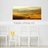 2016 Manufacturer TUV GS SAA CE ROHS IP54 High Quality 360w 600w 720w 960w 1200w Carbon Infrared Panel