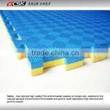 Double Sided TKD Mat