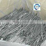 Common Round Iron Wire Nails Factory/Common Nails