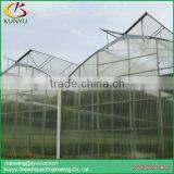 Polycarbonate Greenhouse Price, Polycarbonate Sheet for Polycarbonate Greenhouse thumbnail-2