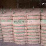 Coconut Fiber 2016 _ QQ : 2598494113 thumbnail-2