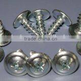 Low Price and Best Quality White Zinc Truss Head Self Tapping Screw thumbnail-1