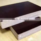 Film Faced Plywood With Best Price thumbnail-1
