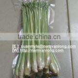 FROZEN LEMON GRASS with HIGH QUALITY