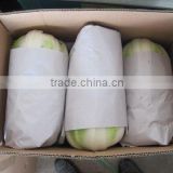 Chinese jade cabbage