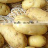 Cost of Fresh Potatoes thumbnail-1