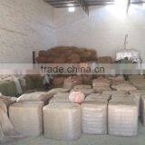 Senna Leaf thumbnail-3