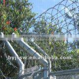 Straight Line Razor Wire Mesh thumbnail-1