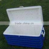 Insulation Can, Can Cooler, Injection Insulation Can