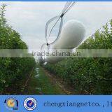 White Anti Hail Netting thumbnail-6