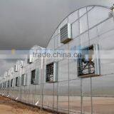Plastic Film Greenhouse For Agriculture Use thumbnail-1