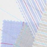 Ramie Yarn-dyed Fabric thumbnail-2