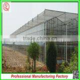 China Cheapest Hot-dip Galvanized Steel Structure Greenhouses With Hydroponic Grow Systems thumbnail-1
