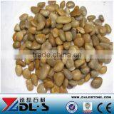 Yellow Polished Pebble Stone For Garden Decoration And Landscaping