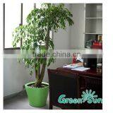 New Wholesale Cheap Hydroponics Self Watering Planter thumbnail-3