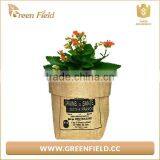 Herb Planter Jute Grow Bag,small Round Planter Jute Grow Bag thumbnail-3