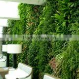 2015 hot sale Artificial Plant Wall for indoor&outdoor Decor,artificial grass wall