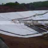 Composite Geomembrane 200g/m2 0.3mm Factory Price thumbnail-4