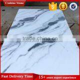 2017 New Surface China White Black Panda Marble Tile thumbnail-1