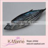 Frozen Sea Tuna Fish Skipjack thumbnail-1