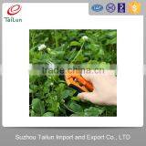 6.5" Straight Stainless Steel Blades Folwer Garden Scissors Snip thumbnail-4